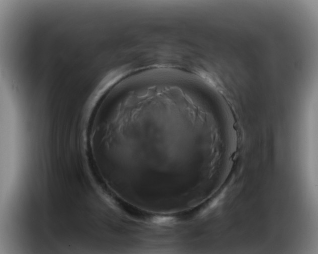 X0000086790055200704201852