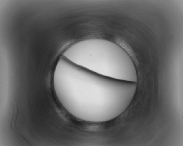 X0000086790058200704201852