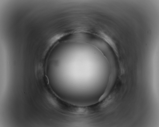 X0000086790060200704201852