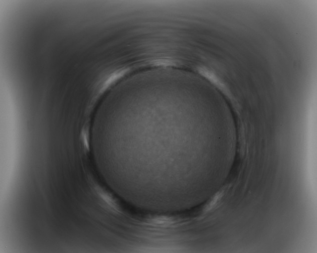 X0000086790062200704201852