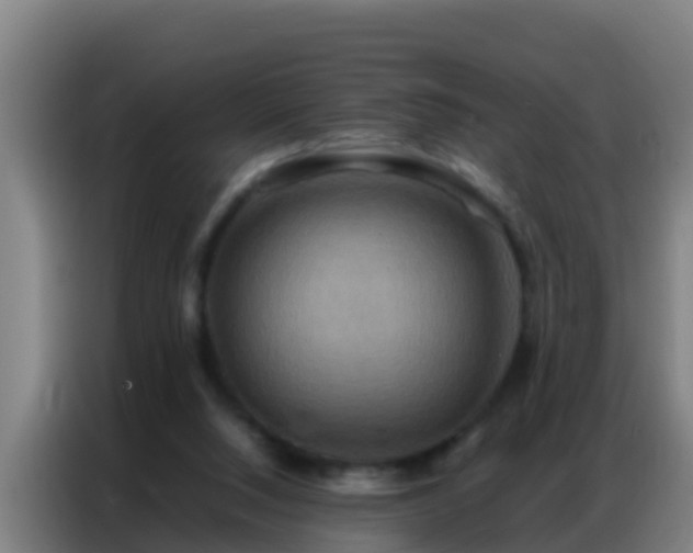 X0000086790064200704201852
