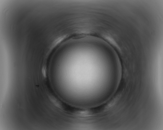 X0000086790068200704201852