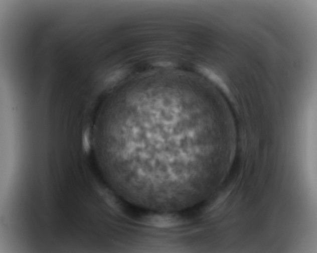 X0000086790069200704201852
