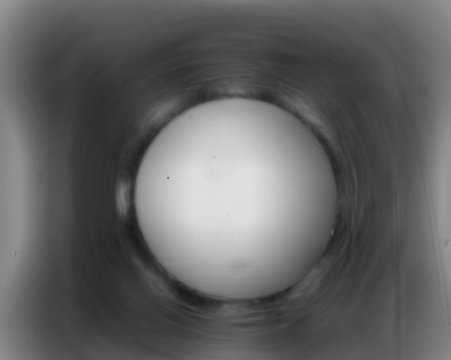 X0000086790070200704201852