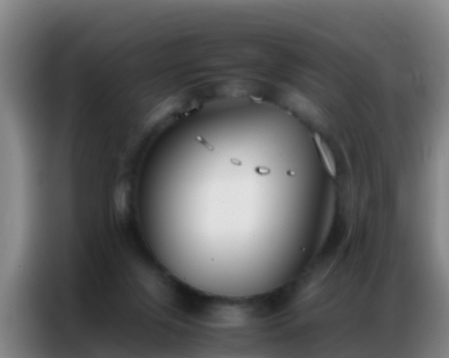 X0000086790071200704201852