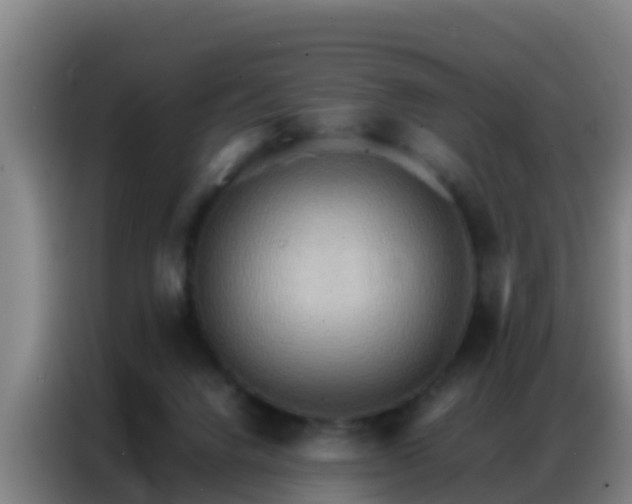 X0000086790072200704201852