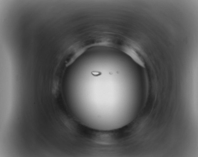 X0000086790073200704201852