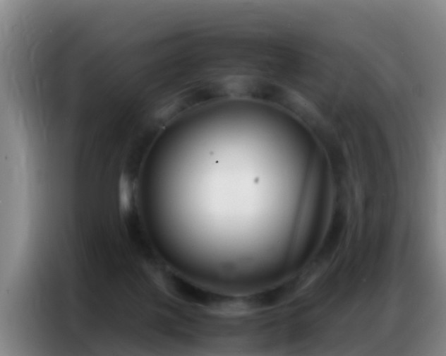 X0000086790075200704201852