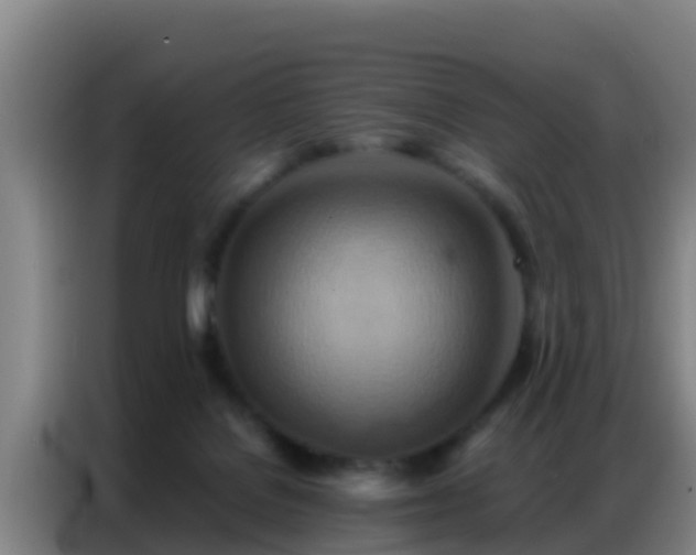 X0000086790076200704201852