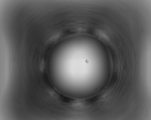 X0000086790077200704201852