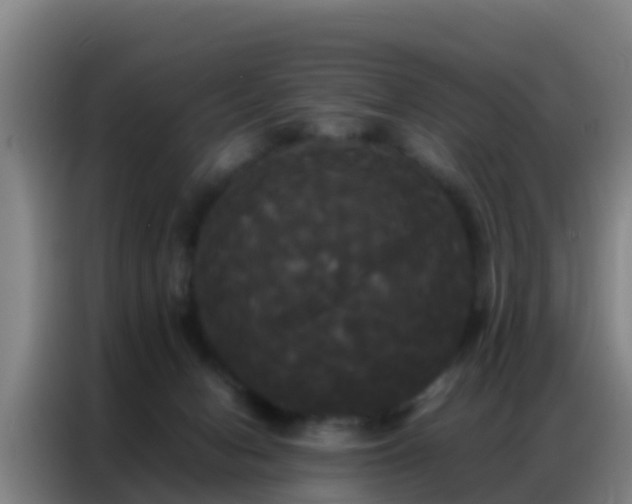 X0000086790078200704201852