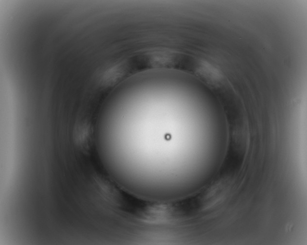 X0000086790079200704201852