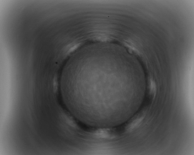 X0000086790080200704201852