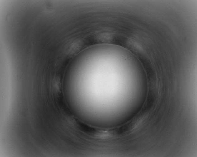 X0000086790083200704201852