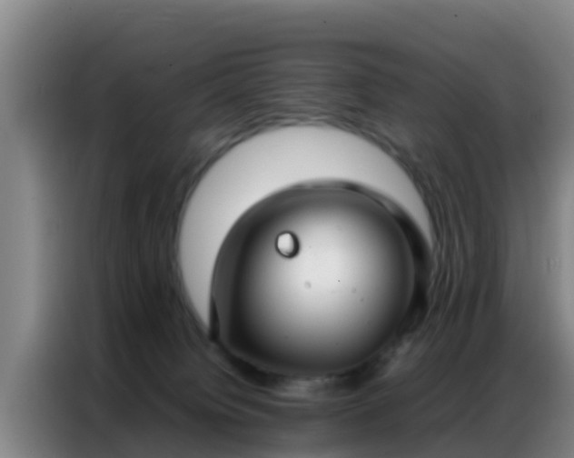 X0000086790084200704201852