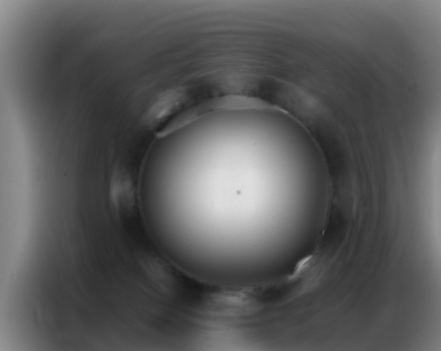 X0000086790086200704201852