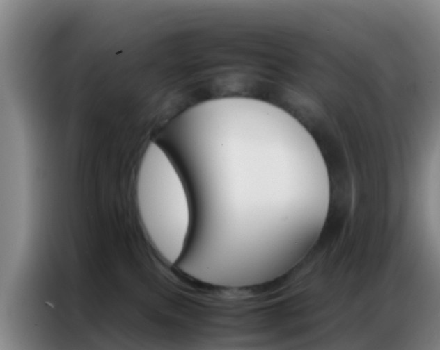 X0000086790087200704201852
