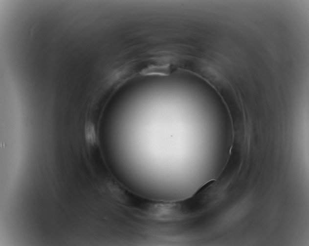 X0000086790089200704201852