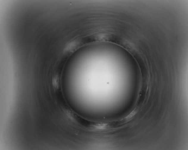 X0000086790090200704201852