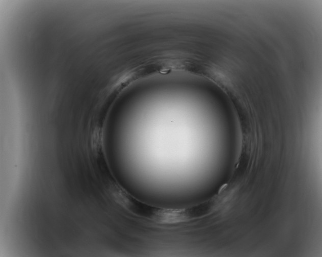 X0000086790093200704201852