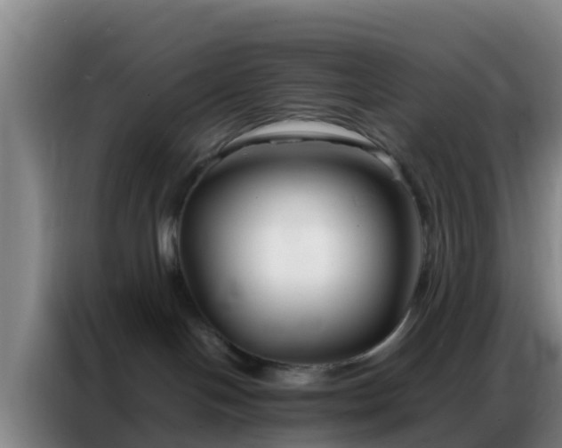 X0000086790094200704201852
