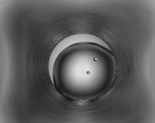 X0000086790096200704201852