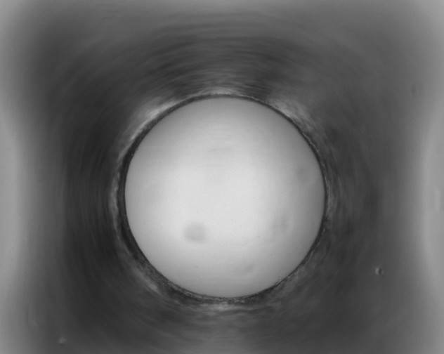 X0000086790098200704201851