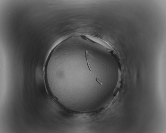 X0000086790100200704201851