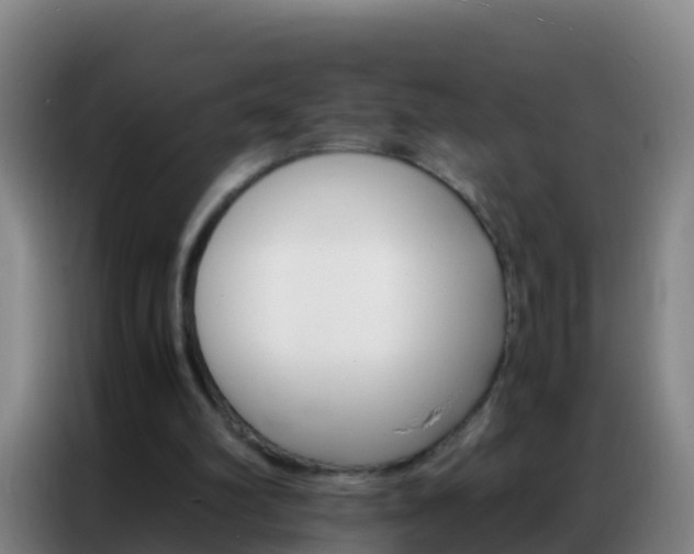 X0000086790102200704201851