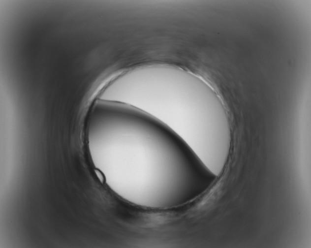 X0000086790103200704201851