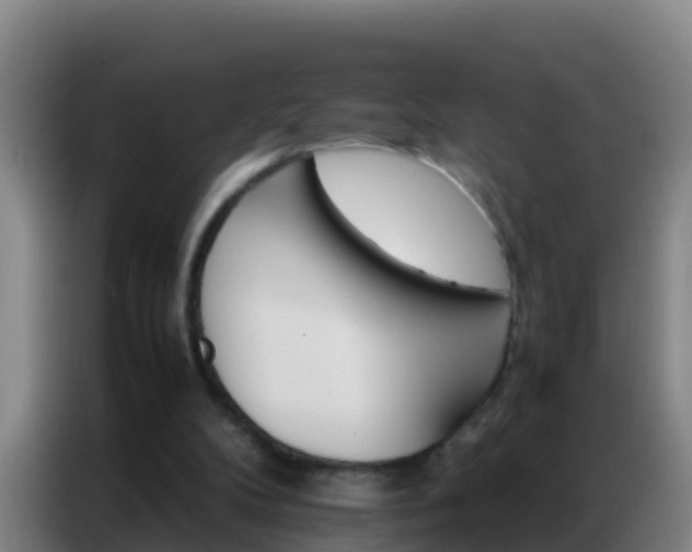 X0000086790104200704201851