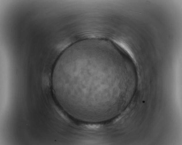 X0000086790105200704201851