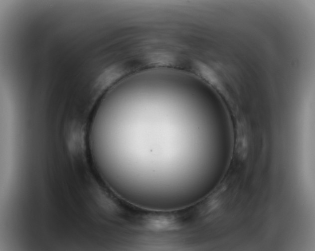 X0000086790106200704201851