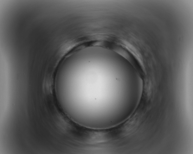 X0000086790107200704201851