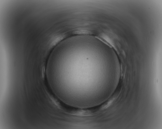 X0000086790109200704201851