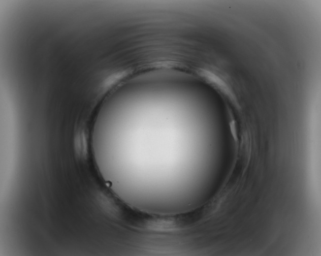 X0000086790110200704201851