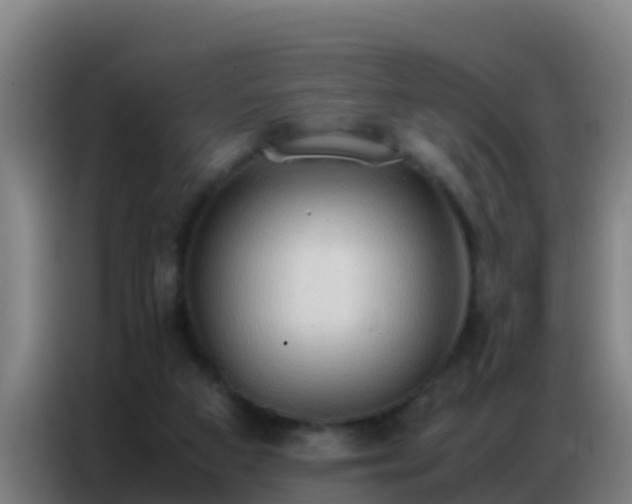 X0000086790113200704201851