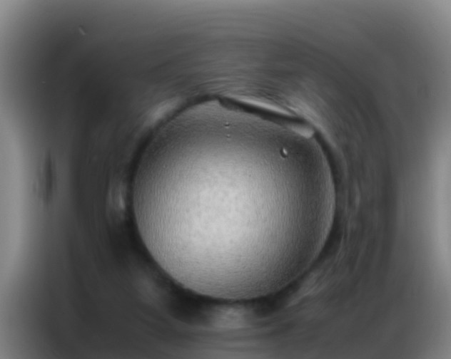 X0000086790115200704201851