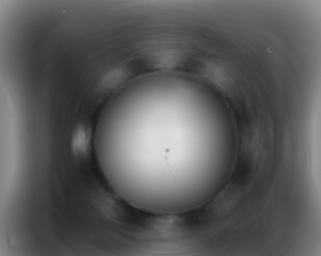 X0000086790118200704201851