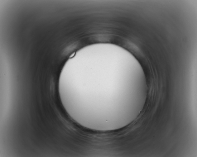 X0000086790120200704201851