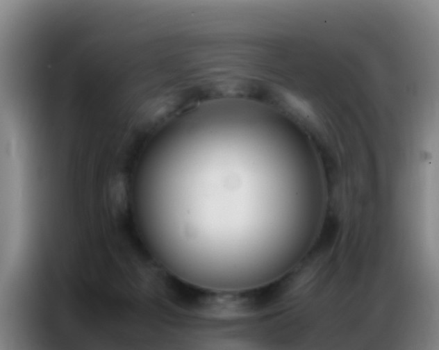 X0000086790121200704201851