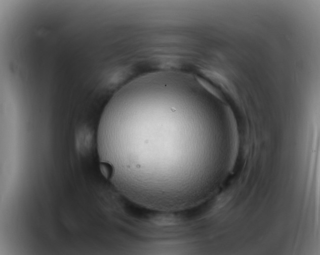 X0000086790123200704201851