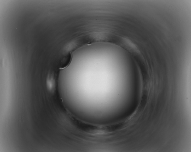 X0000086790124200704201851