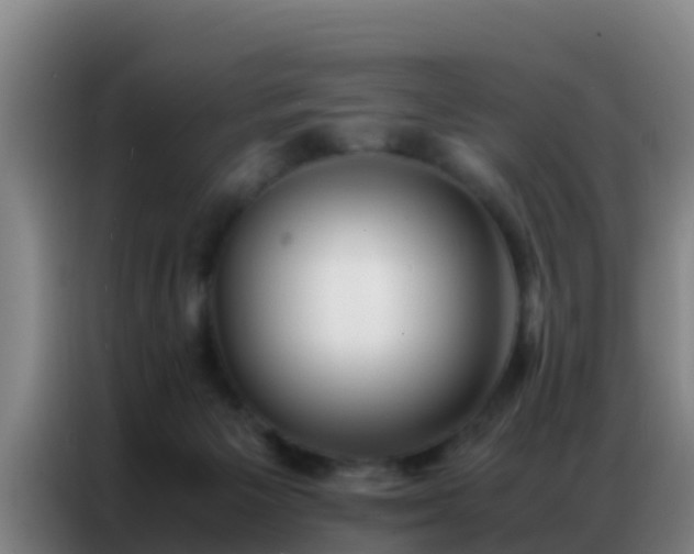 X0000086790125200704201851