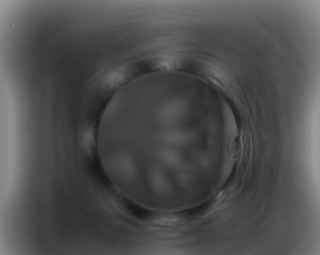 X0000086790127200704201851