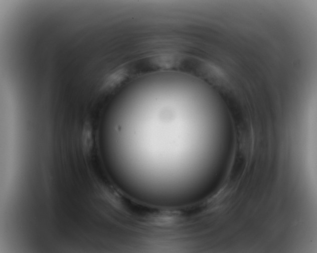 X0000086790128200704201851