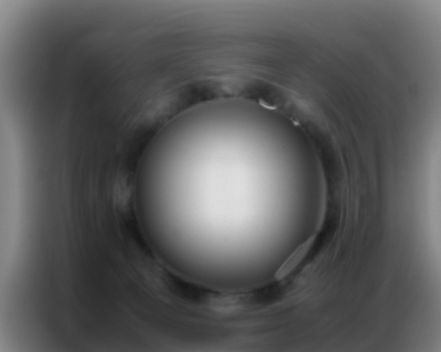 X0000086790129200704201851