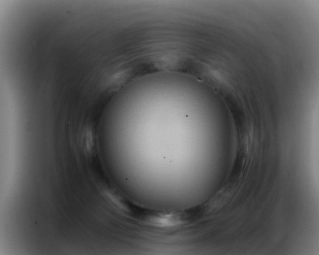 X0000086790130200704201851