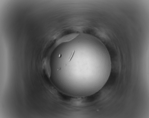 X0000086790131200704201851