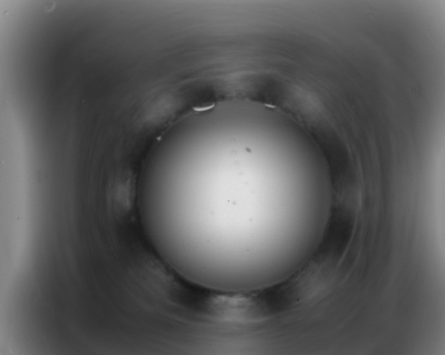 X0000086790133200704201851